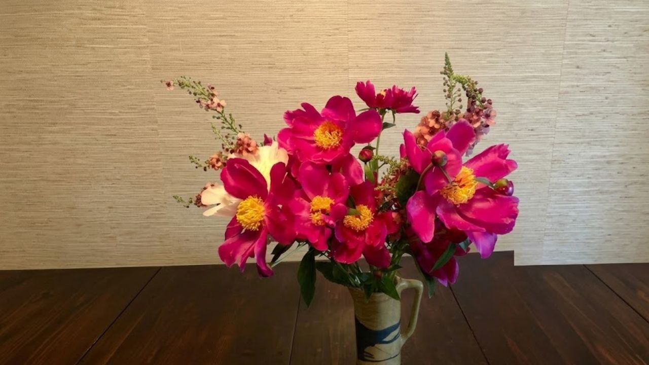 warmth to a somber day